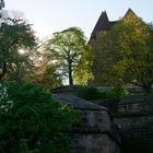 Frühling am morgentlichen Burggraben