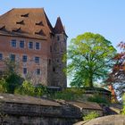 Frühling am morgentlichen Burggraben