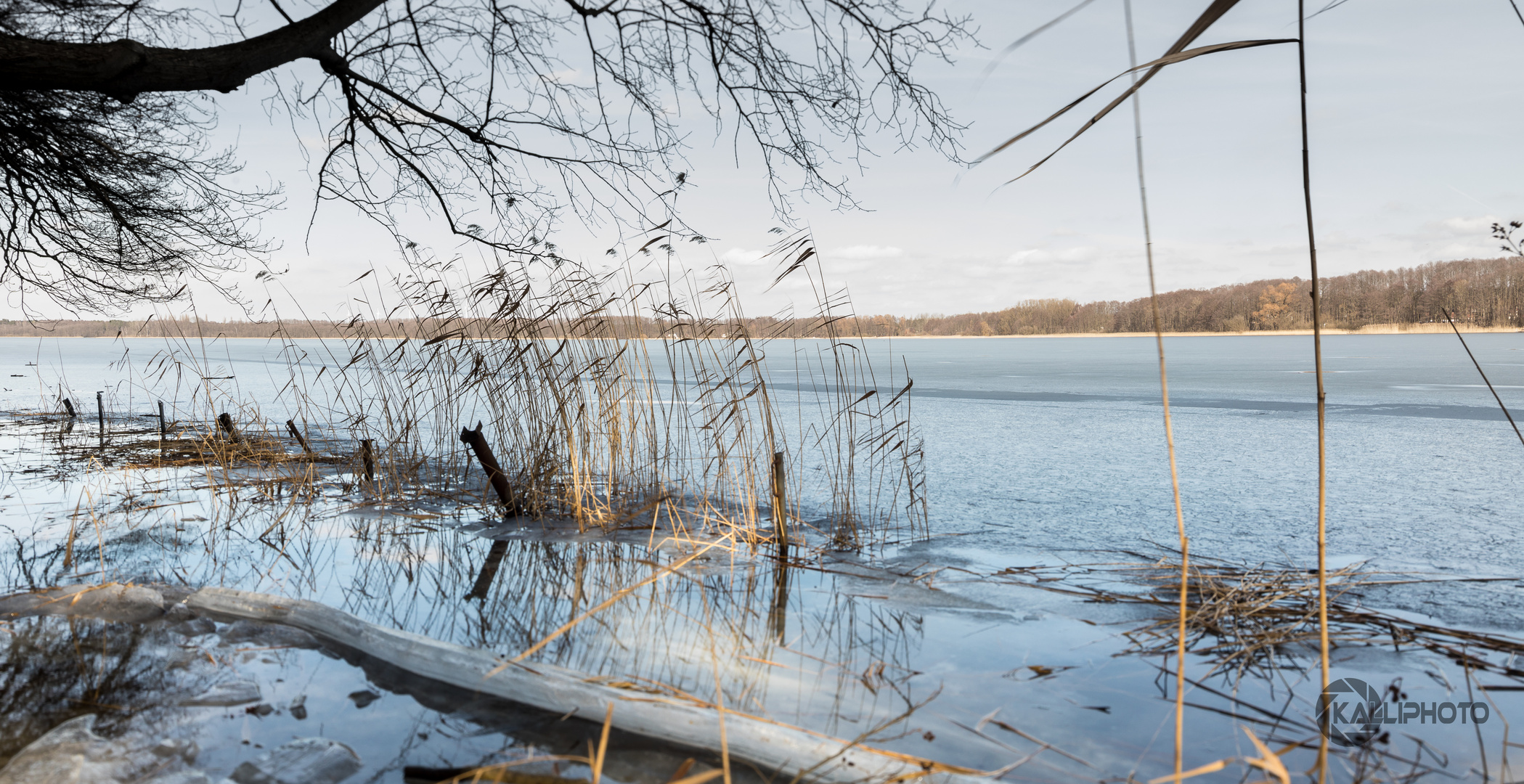 Frühling am Motzener See