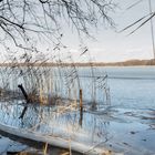 Frühling am Motzener See