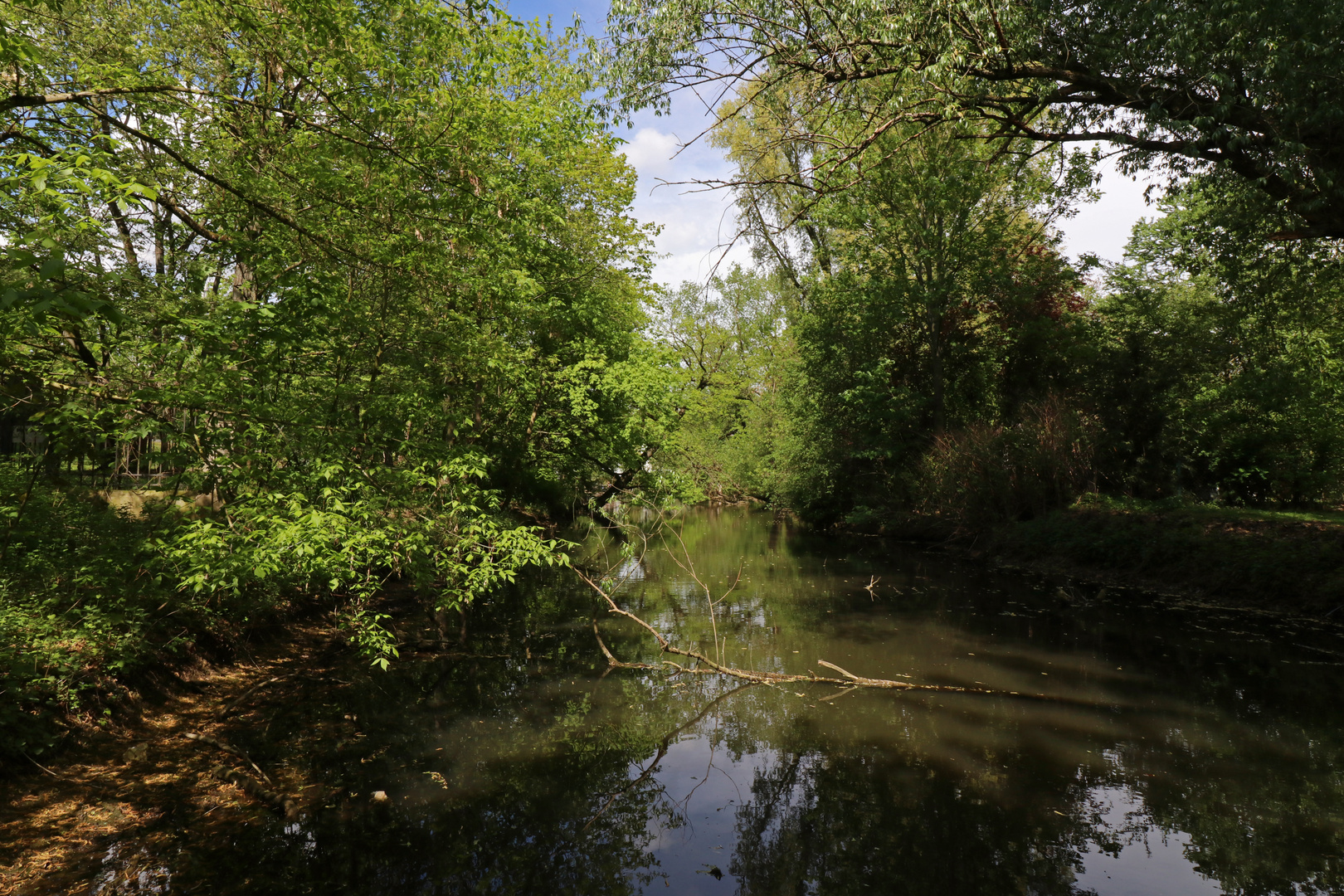 Frühling am Mühlengraben