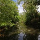 Frühling am Mühlengraben