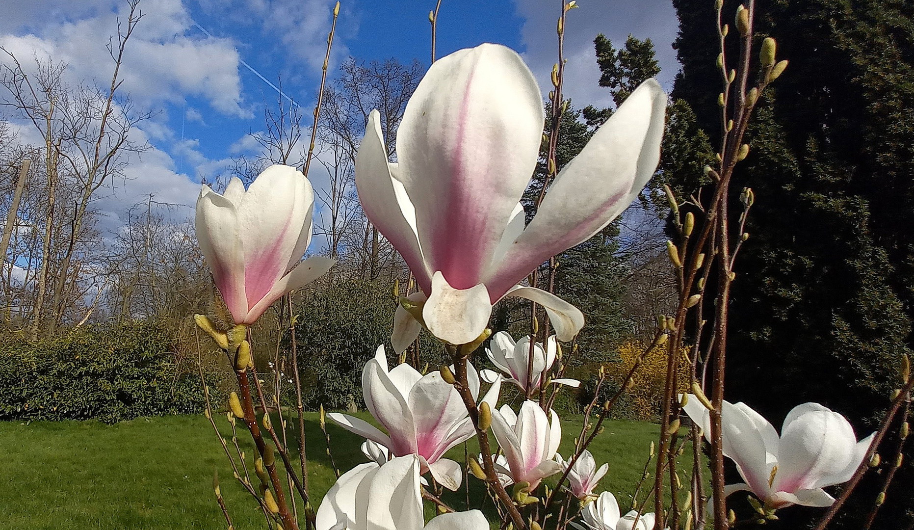 Frühling am Mühlenhof