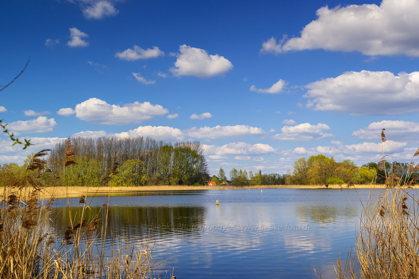 Frühling am Mühlensee