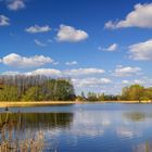 Frühling am Mühlensee