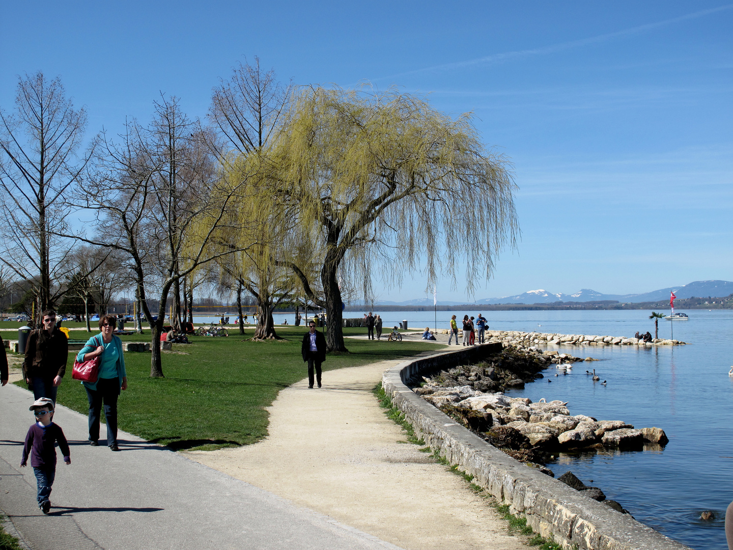 Frühling am Murtensee