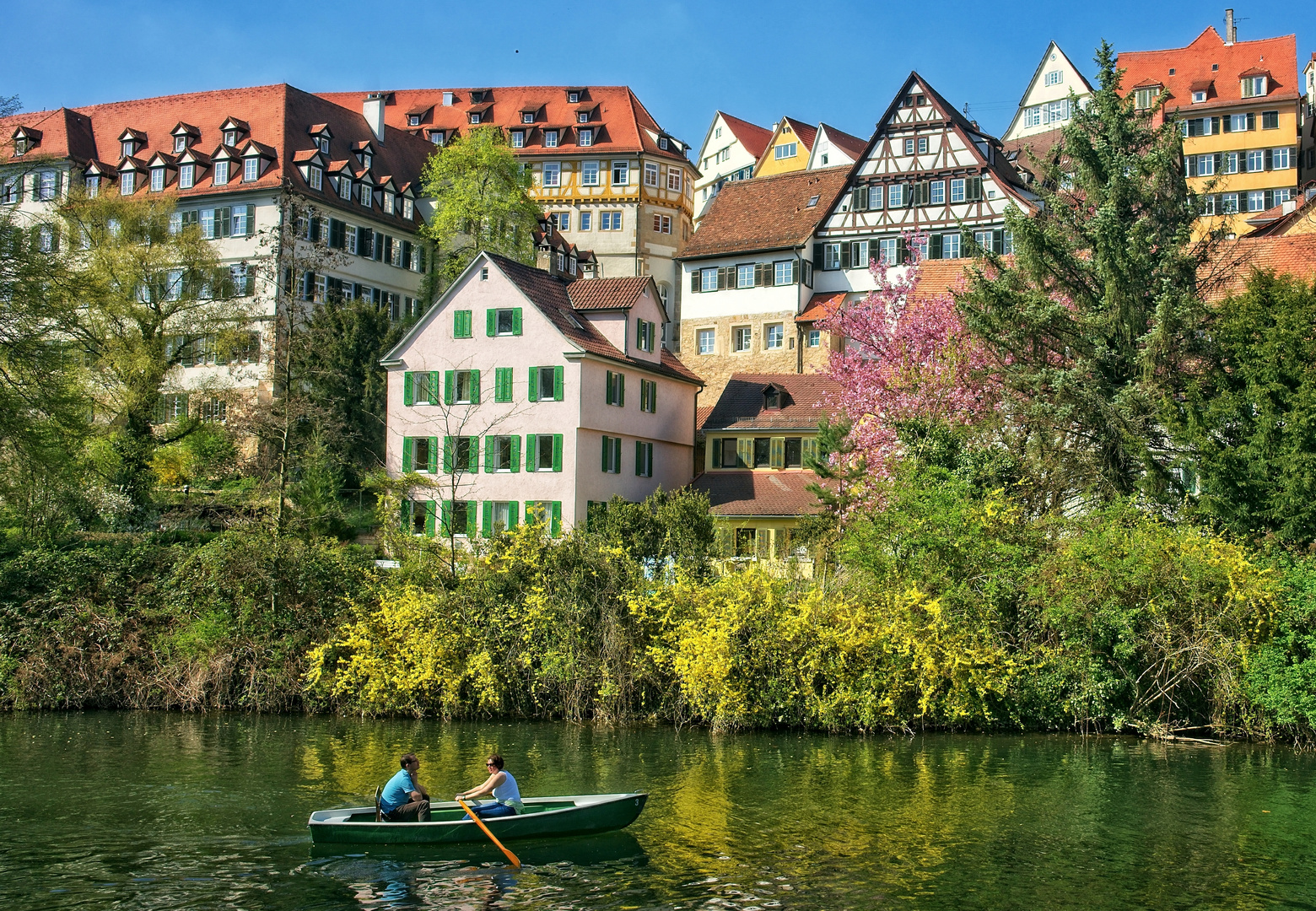 Frühling am Neckar (3)