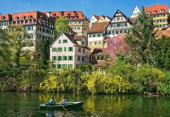 Frühling am Neckar (3)