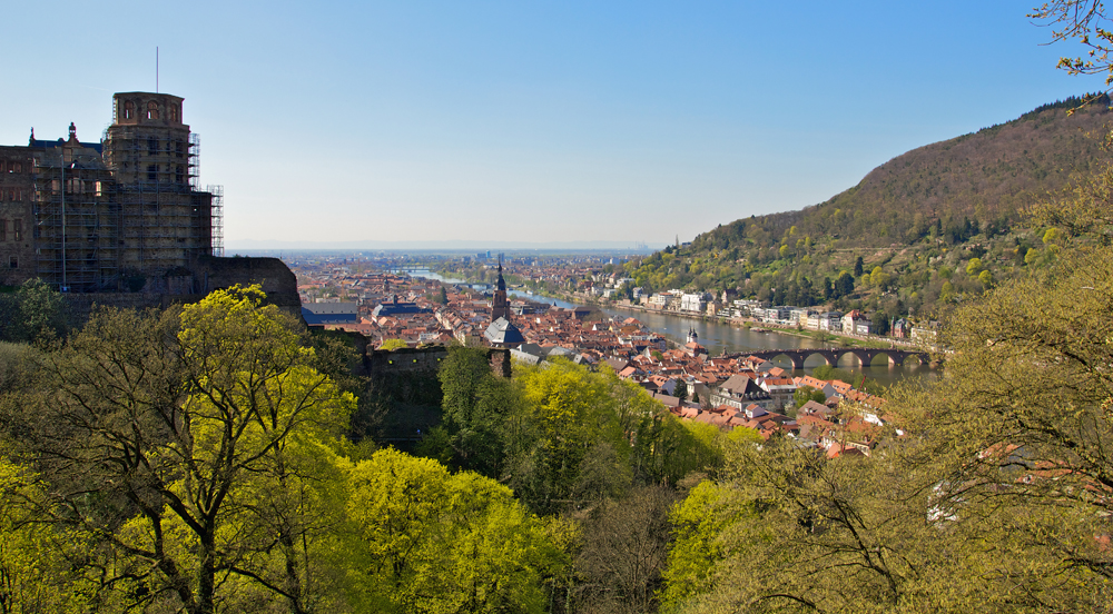 Frühling am Neckar