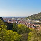 Frühling am Neckar