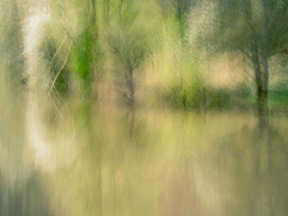 Frühling am Neckar