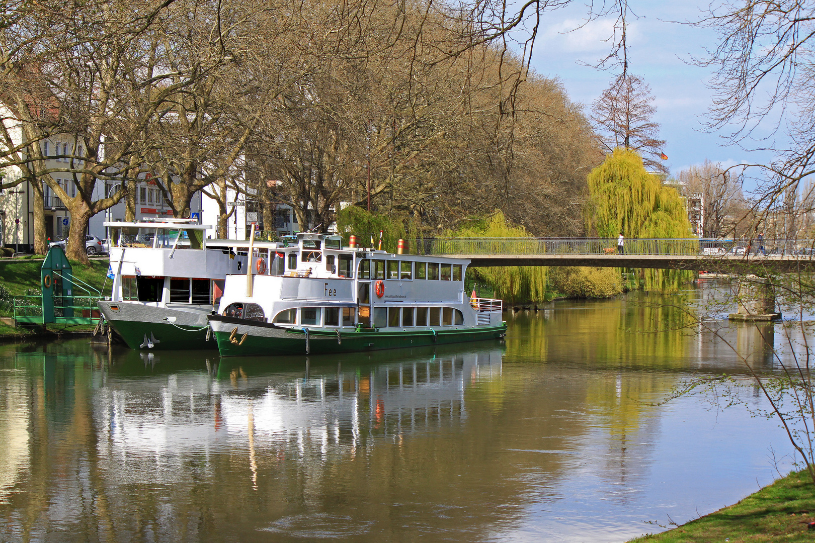 Frühling am Neckar