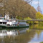 Frühling am Neckar