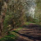 ..Frühling am Neckar