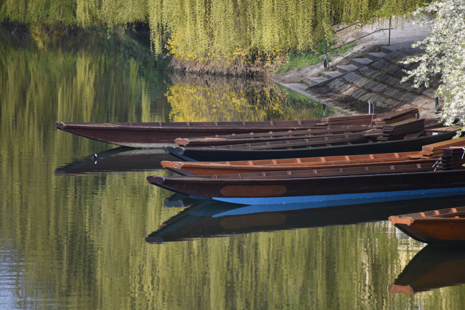 Frühling am Neckar