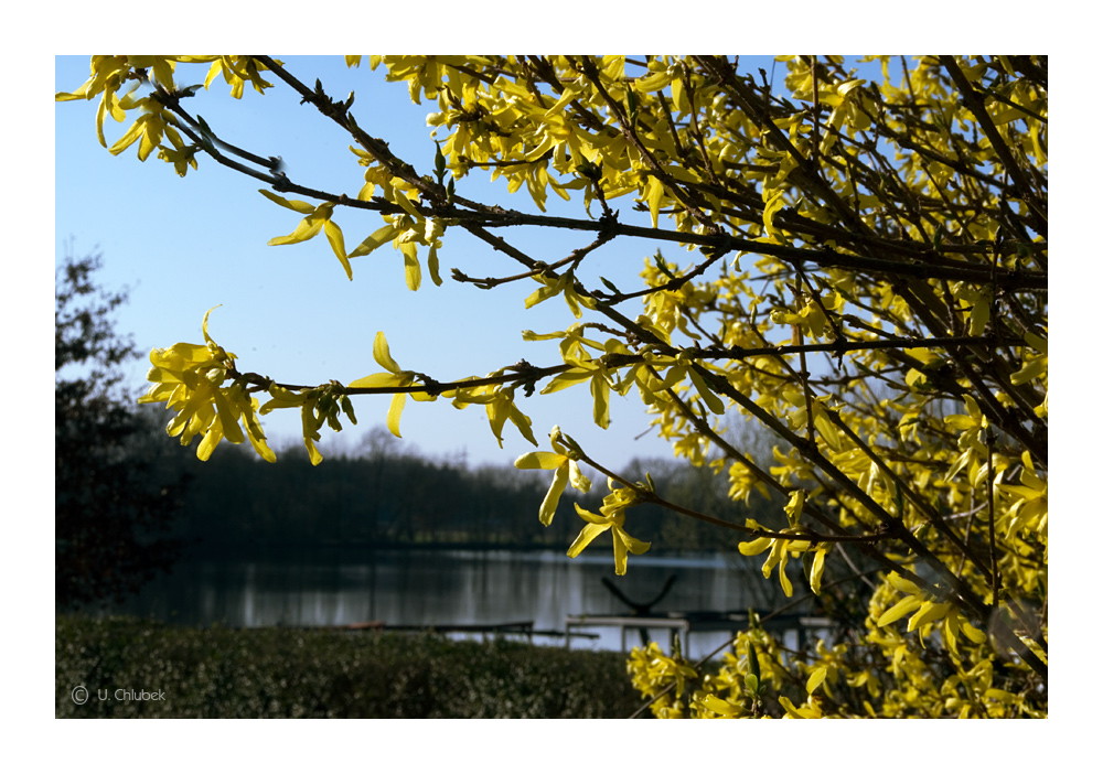 frühling am niederrhein