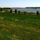 Frühling am Niederrhein