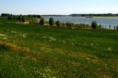 Frühling am Niederrhein