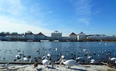 Frühling am Nymphenburger Schloß