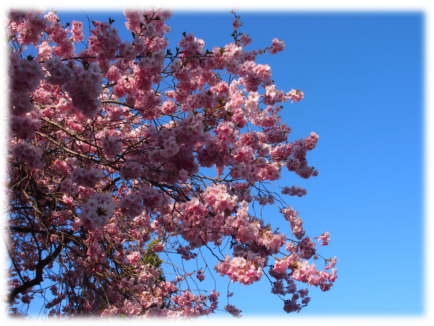 Frühling am Obermain