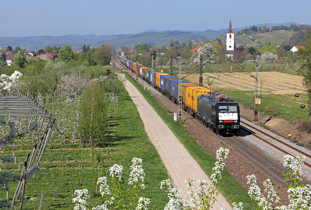 Frühling am Oberrhein