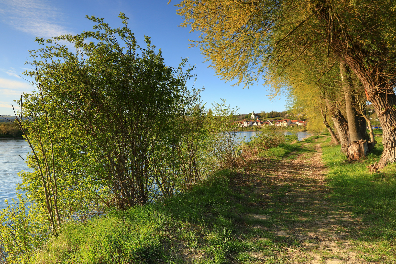 Frühling am Oberrhein