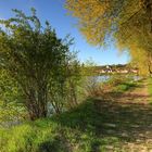 Frühling am Oberrhein