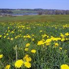 Frühling am Obertrummersee