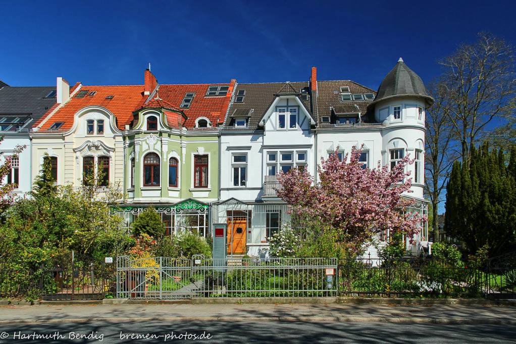 Frühling am Osterdeich