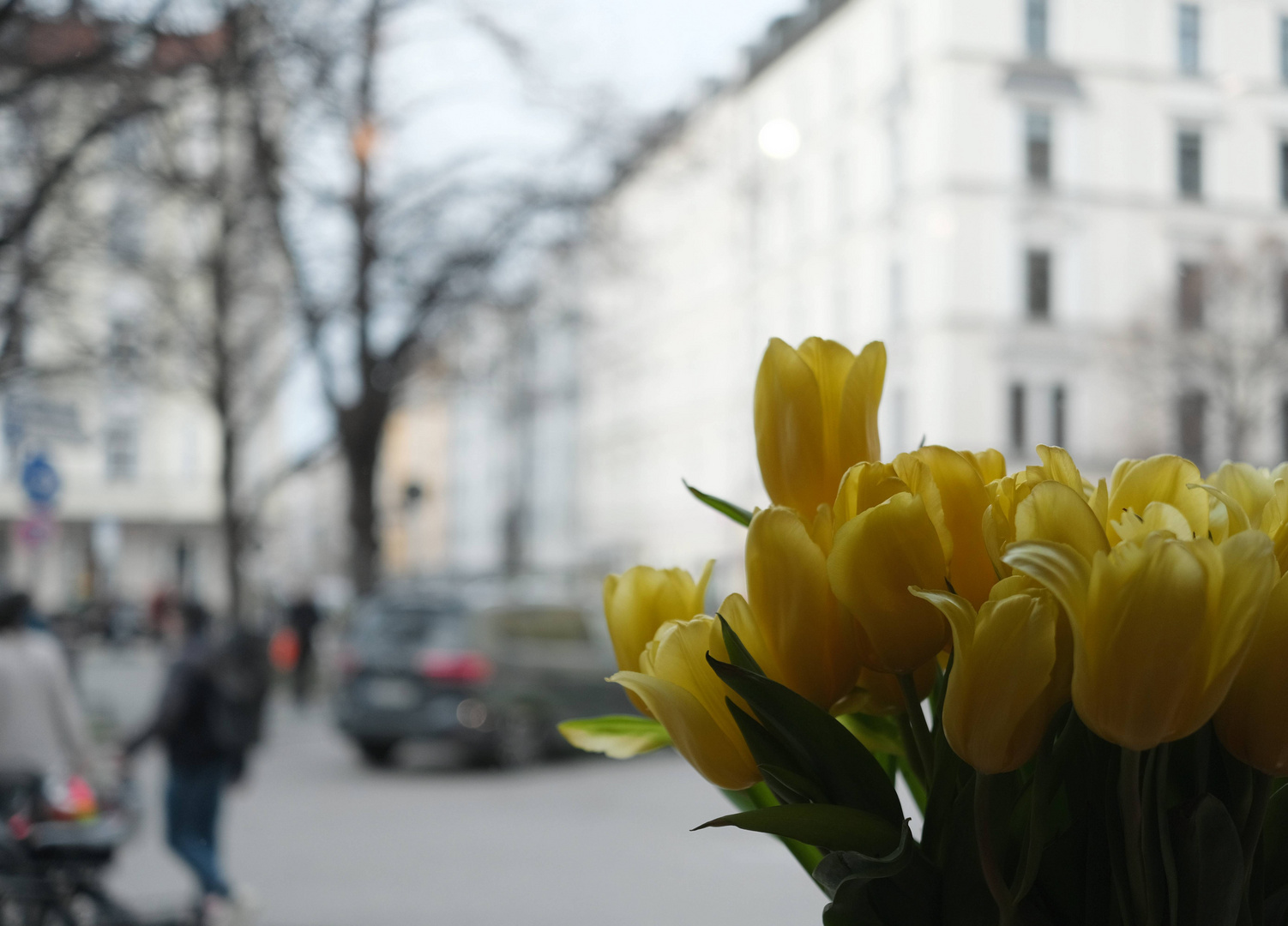 Frühling am Pariser Platz