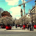 Frühling am Pasinger Marienplatz