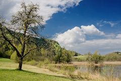 Frühling am Penkensee