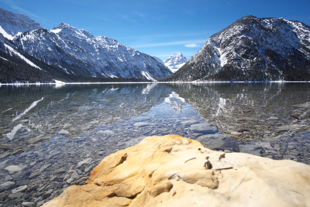 Frühling am Plansee