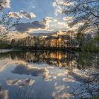 Frühling am Raffteich