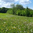 Frühling am Rande von Berlin......