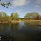 Frühling am Regenbecken