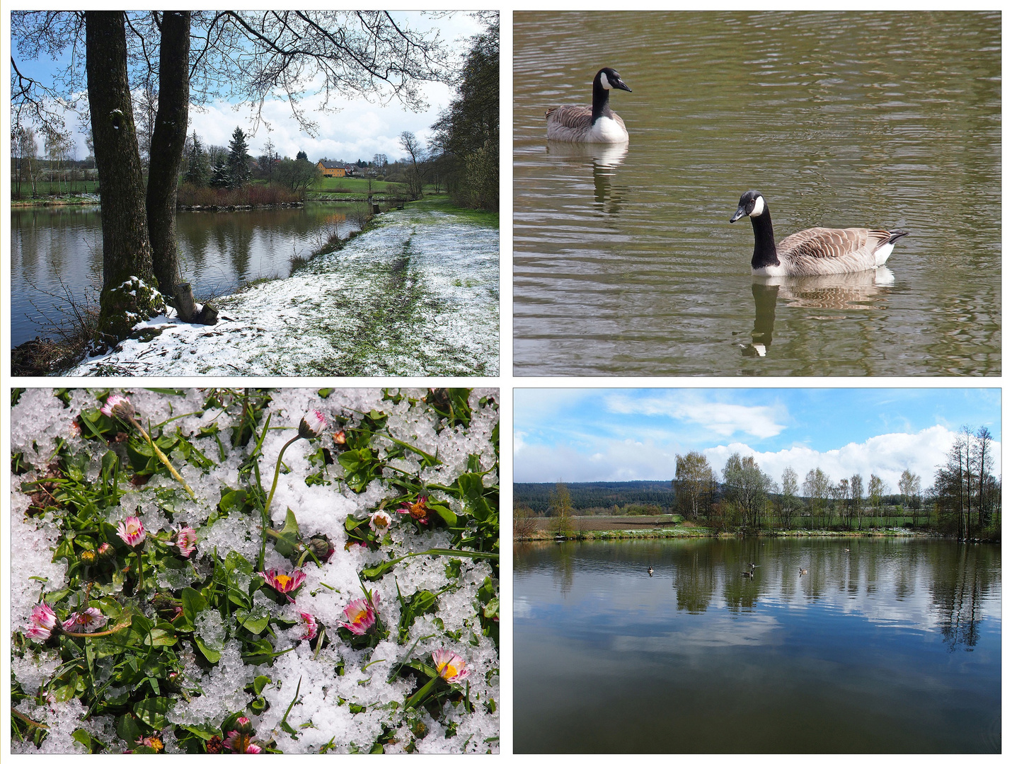 "Frühling" am Reitersee