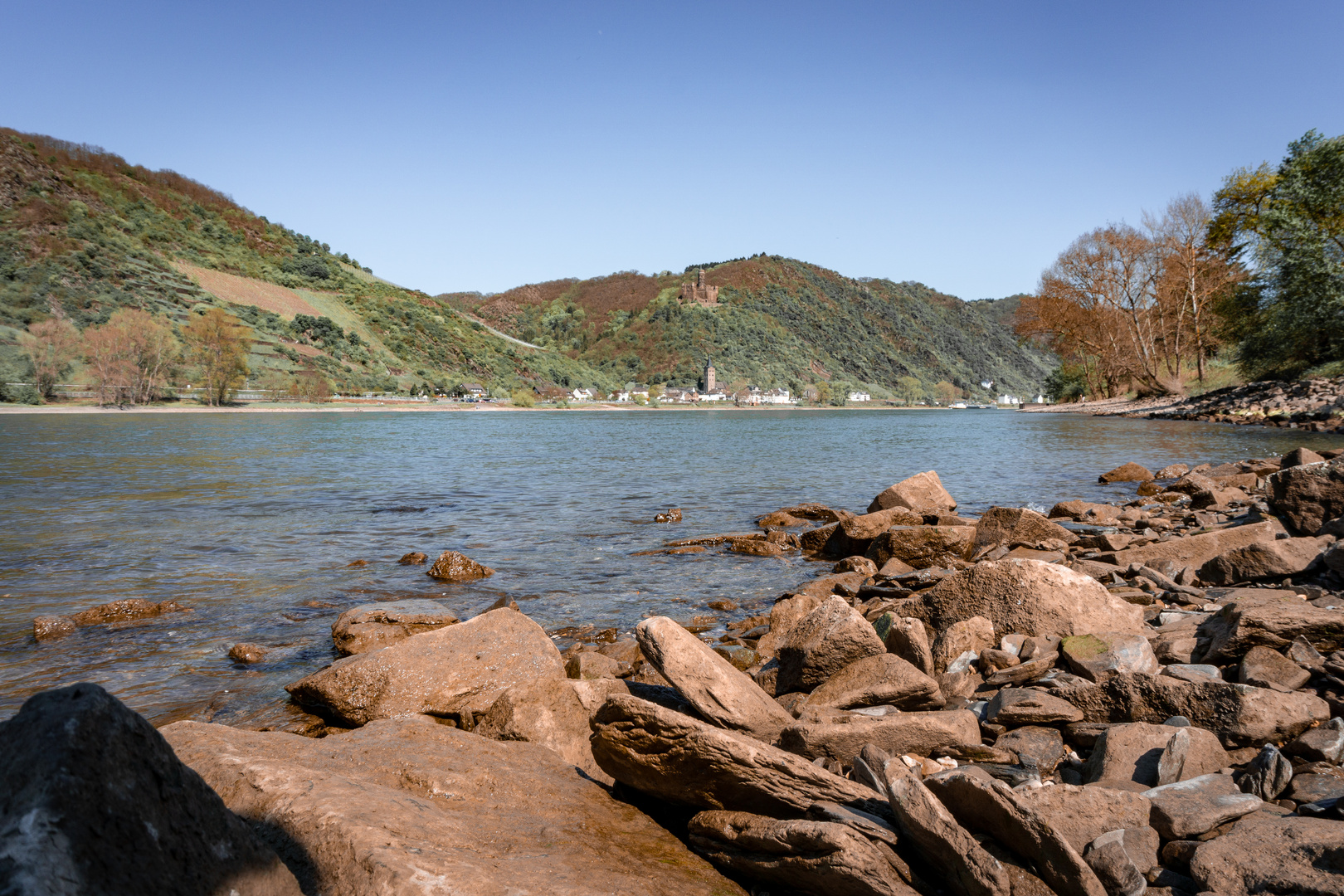 Frühling am Rhein