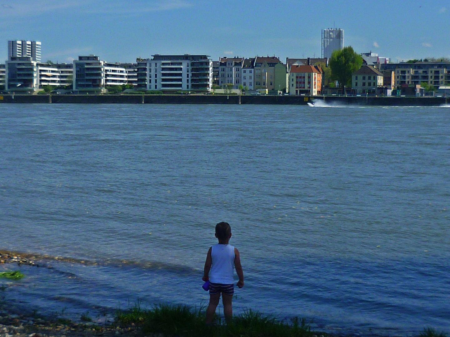 Frühling am Rhein