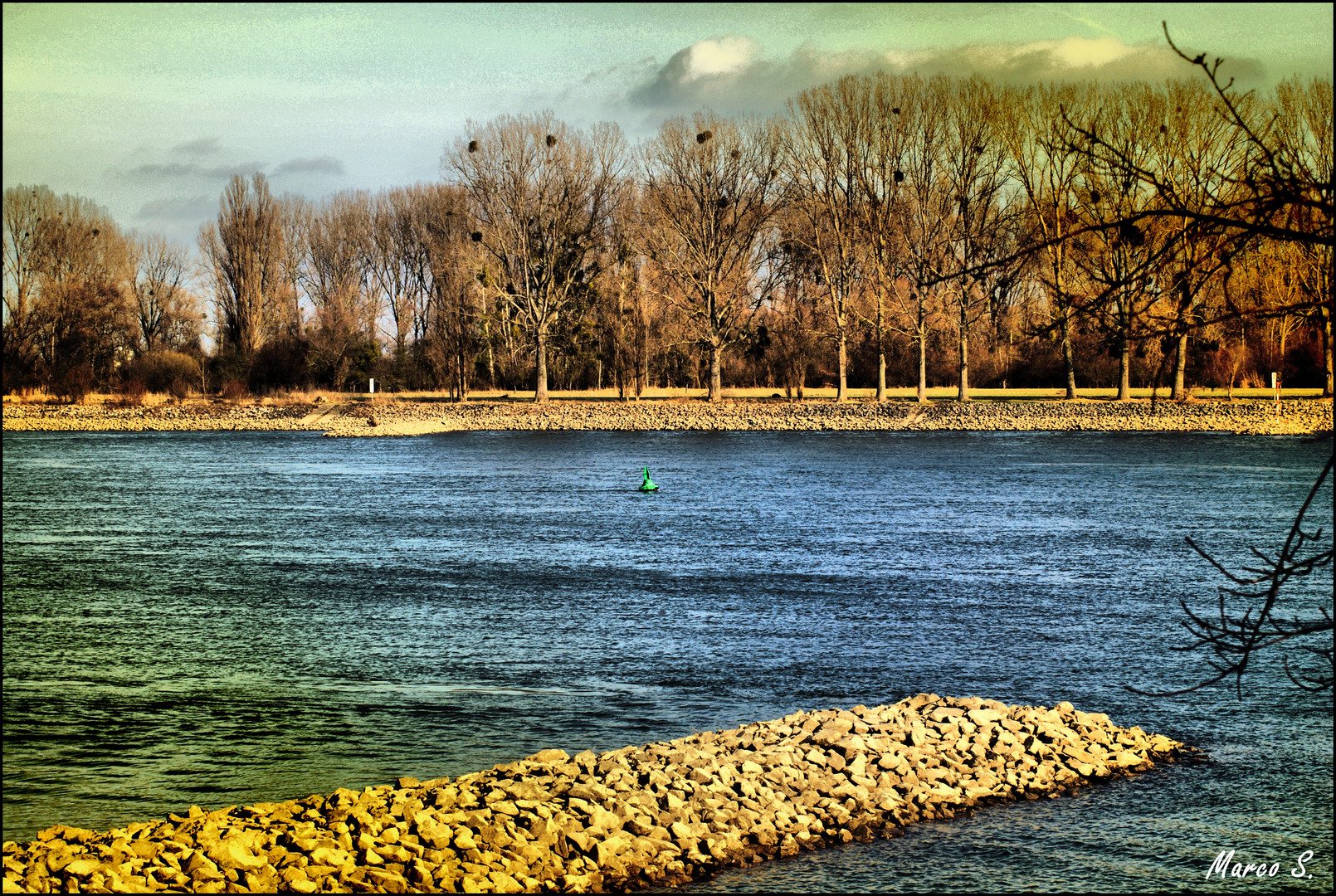 Frühling am Rhein