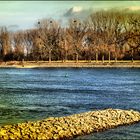 Frühling am Rhein