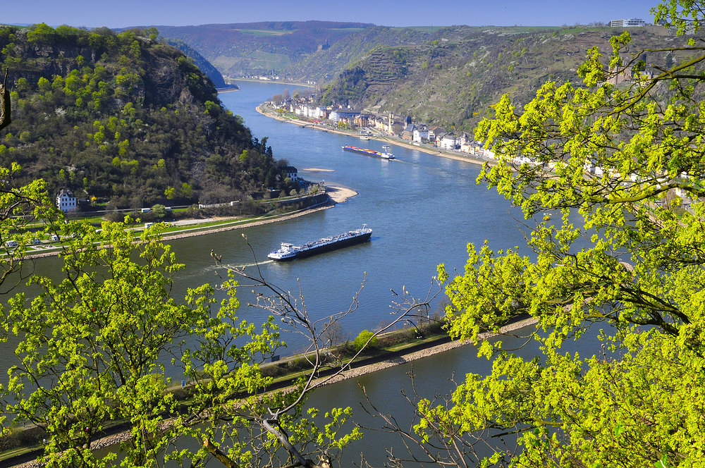 Frühling am Rhein