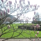 Frühling am Rhein