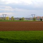 Frühling am Rhein