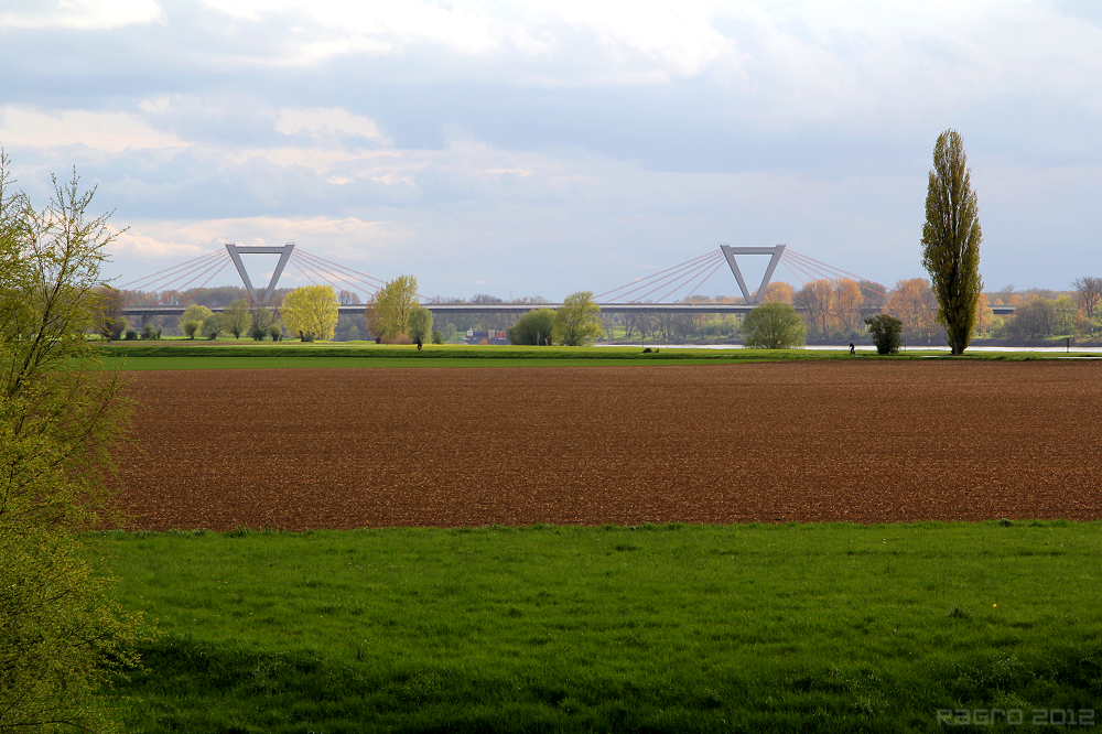 Frühling am Rhein