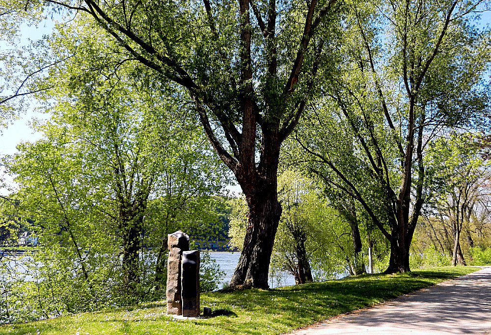 Frühling am Rhein