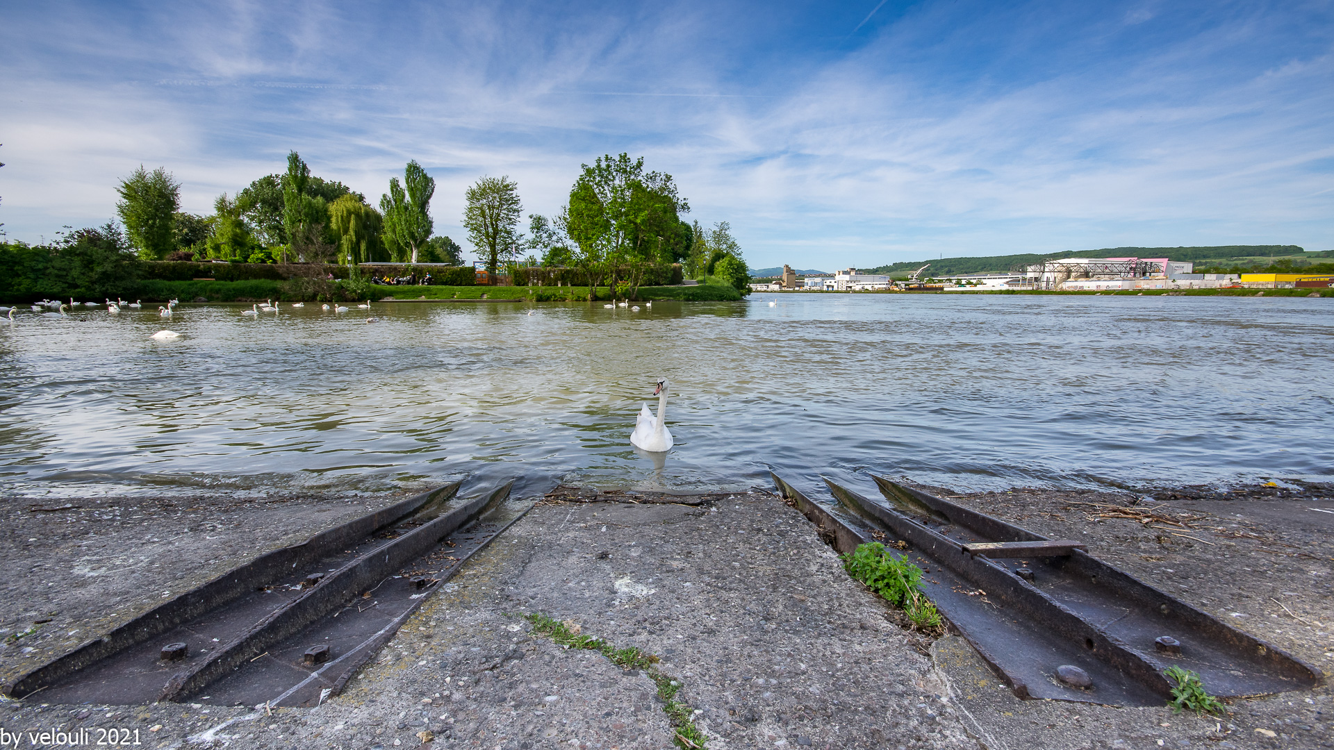 Frühling am Rhein