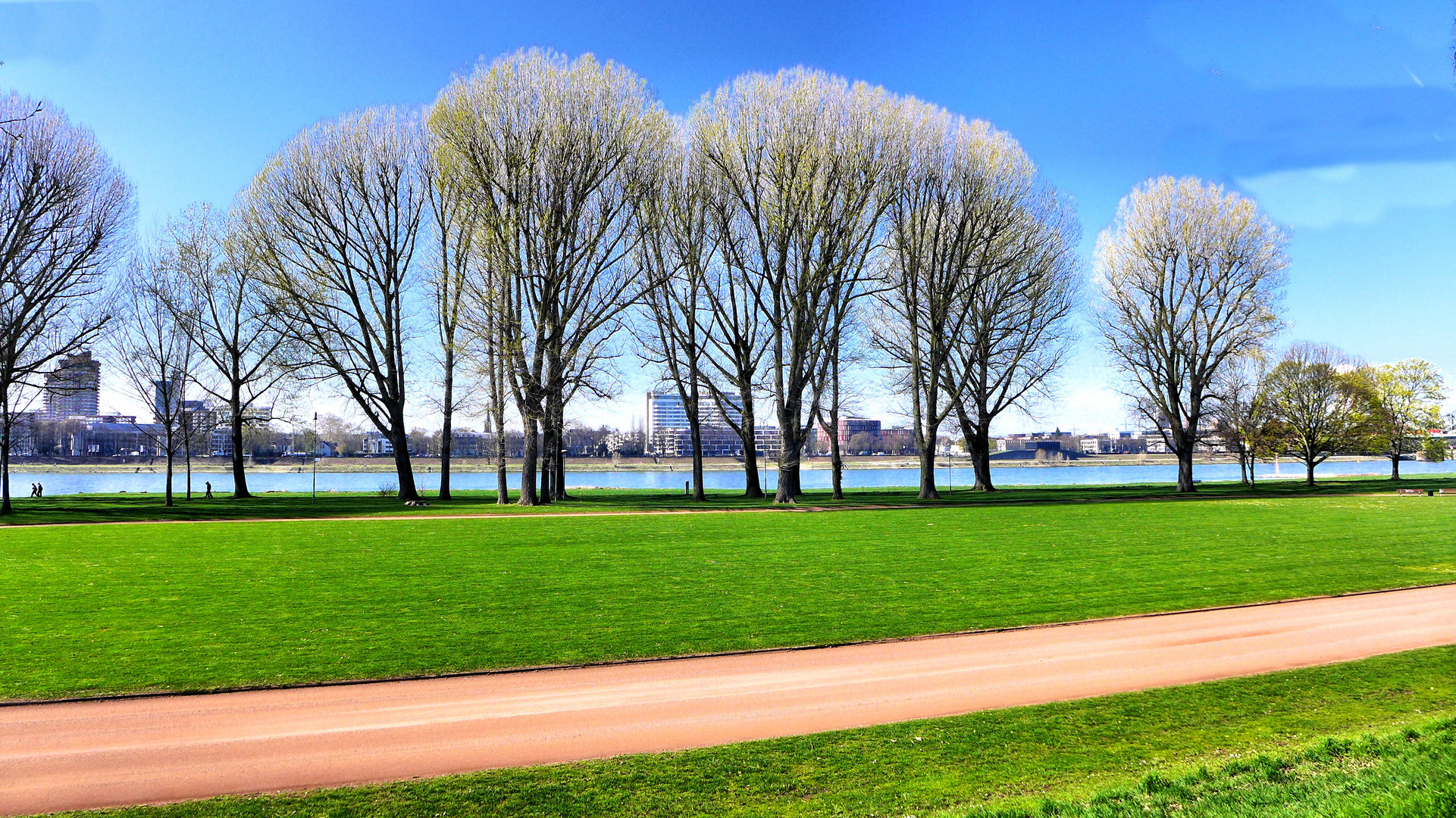 Frühling am Rhein