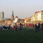 Frühling am Rheinufer in Düsseldorf am 17.2. 2019