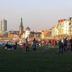 Frühling am Rheinufer in Düsseldorf am 17.2. 2019